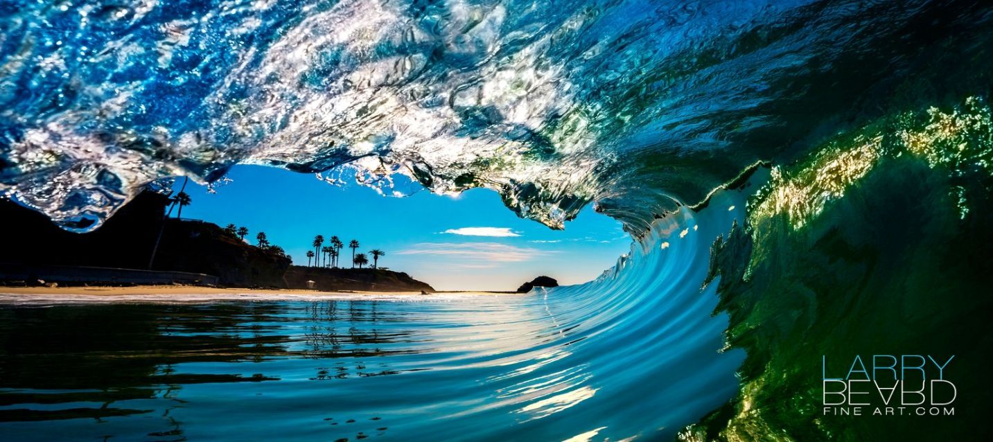 A wave curls over, revealing a beach scene with blue sky and palm trees.