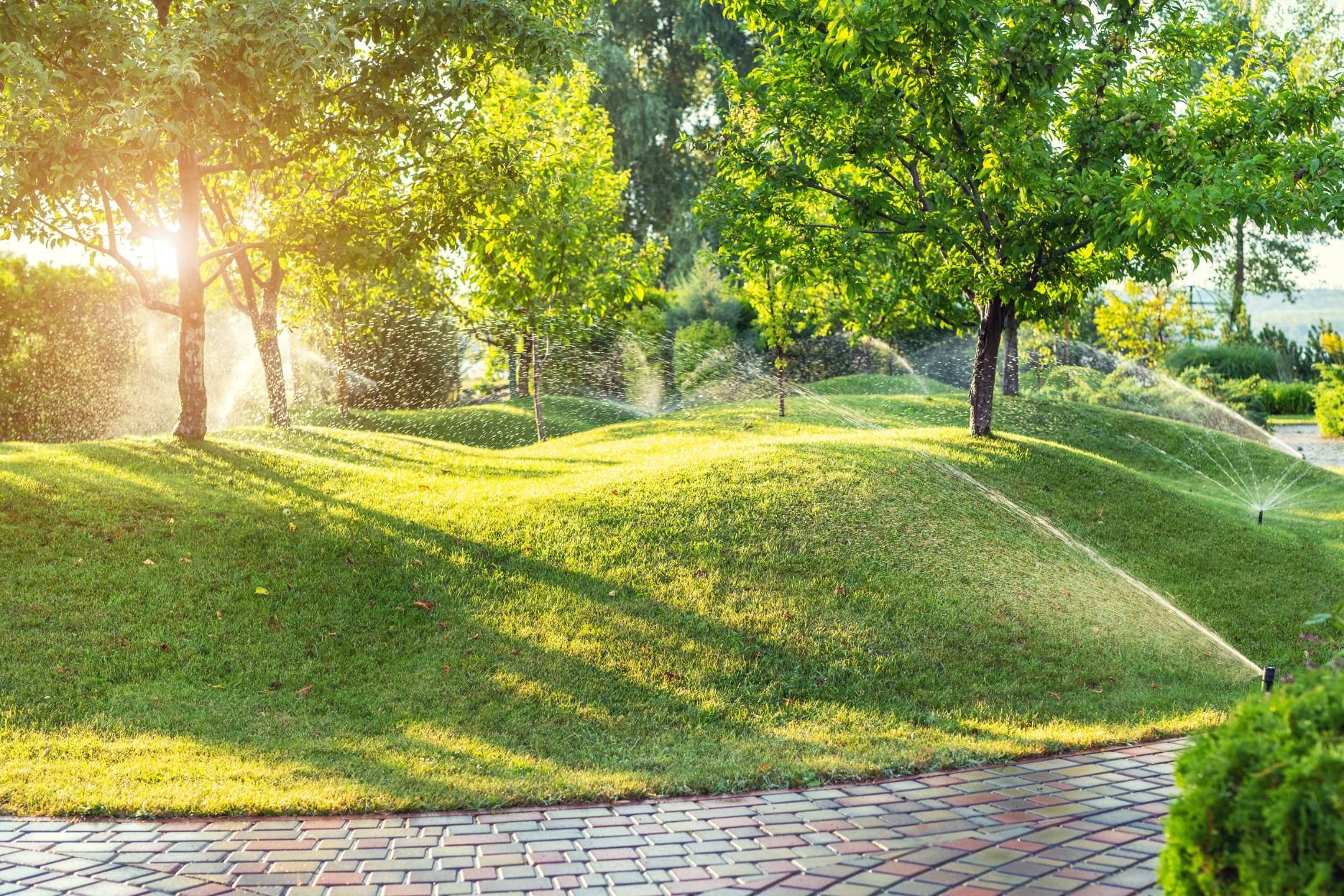 Lush green lawn with sprinklers watering, sunlit trees, and brick path.