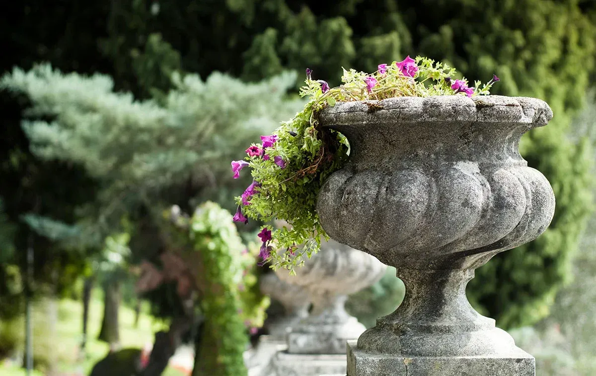 A stone vase filled with purple flowers in a park.