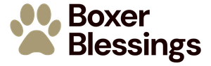 Boxer Blessings

