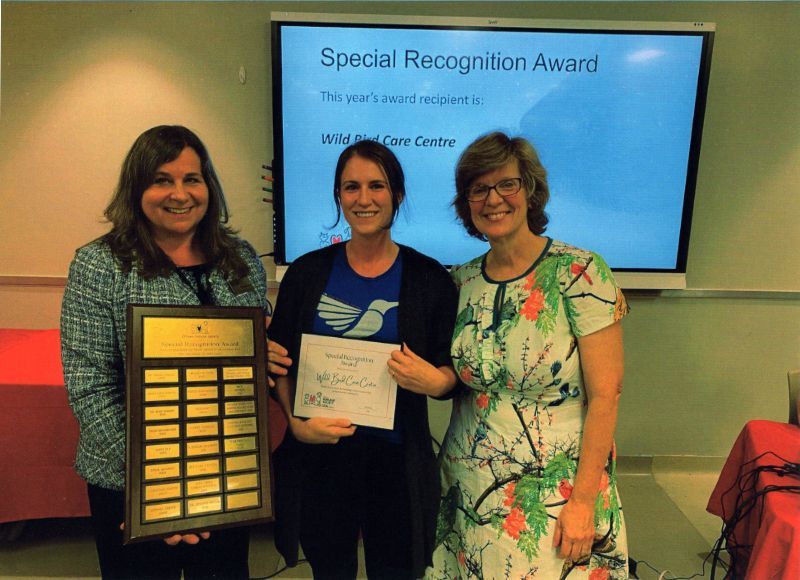 Award Presentation