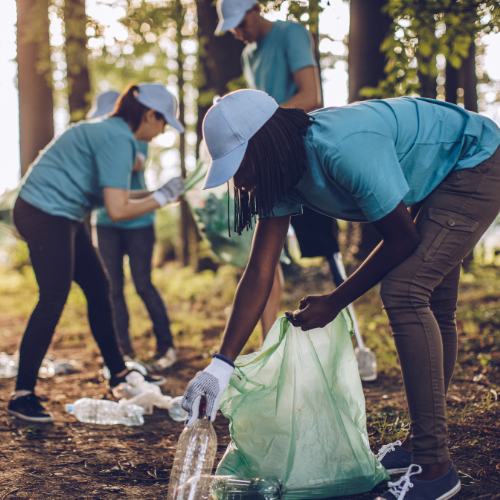 A group of people are picking up trash in the woods.