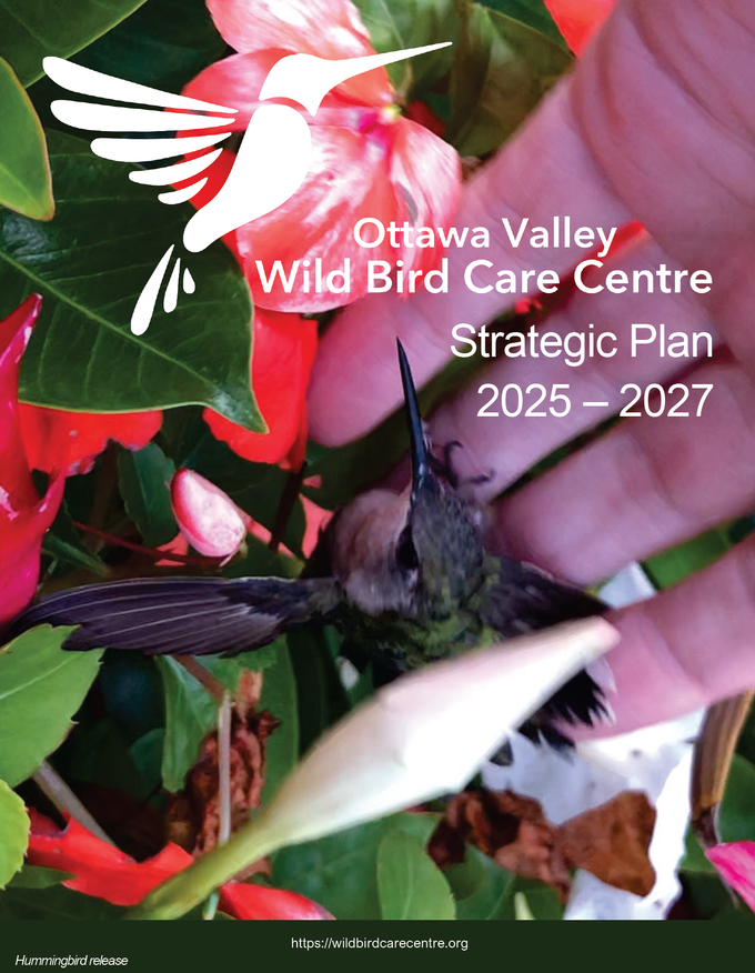 Ottawa valley wild bird care centre strategic plan 2025-2027
