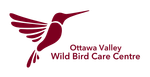 The logo for the ottawa valley wild bird care centre