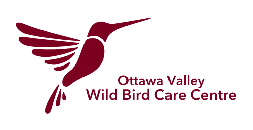 The logo for the ottawa valley wild bird care centre
