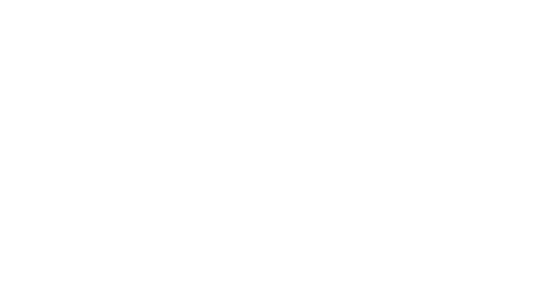 The logo for the ottawa valley wild bird care centre