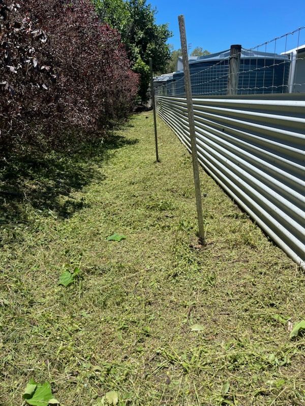 Grassy side yard beside a corrugated metal fence, with trees and a house in the background — Rolling With Netherpoel in Bowen, QLD