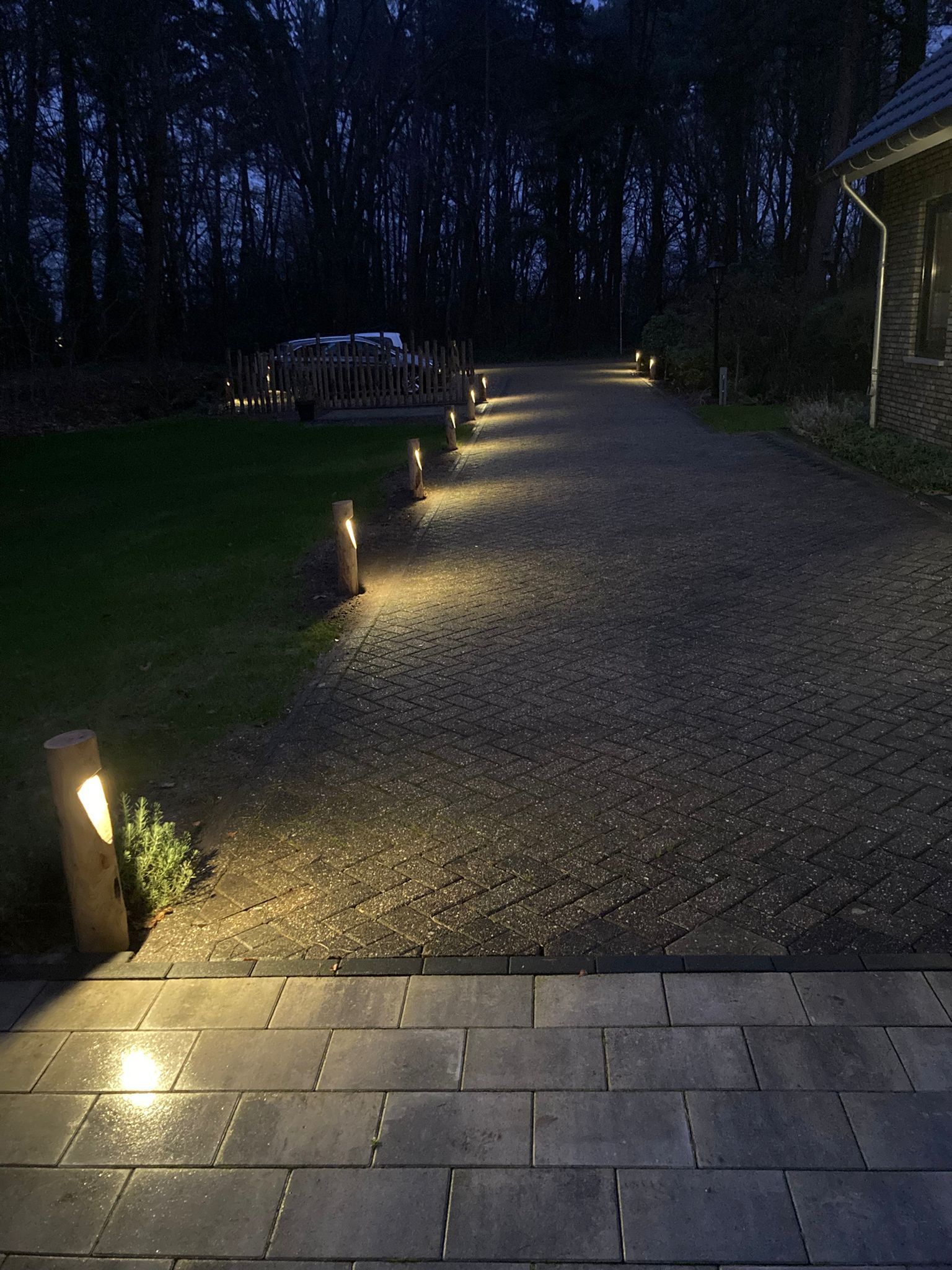 Een grindpad, 's nachts verlicht door lampen, leidt naar een donker bos. Rechts is een gebouw zichtbaar.