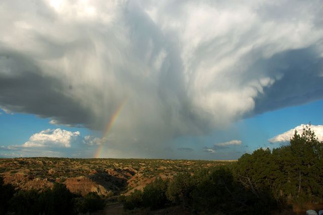 Photojournal July 12 21 Williamson Apple Blossom Festival