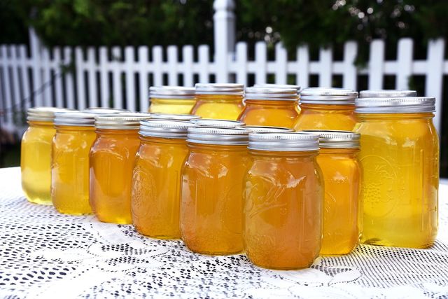 Photojournal July 12 21 Williamson Apple Blossom Festival