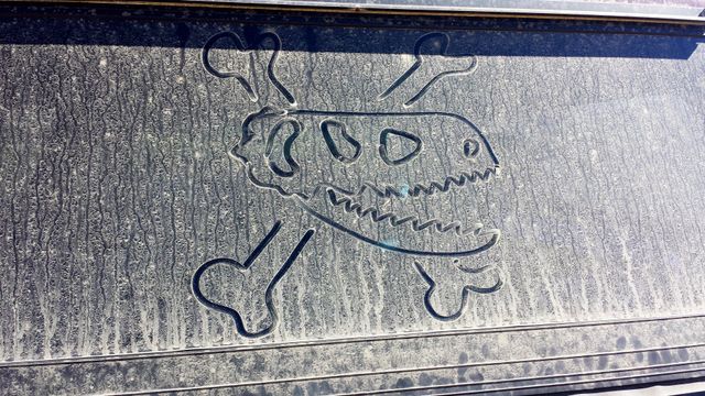 Photojournal July 12 21 Williamson Apple Blossom Festival