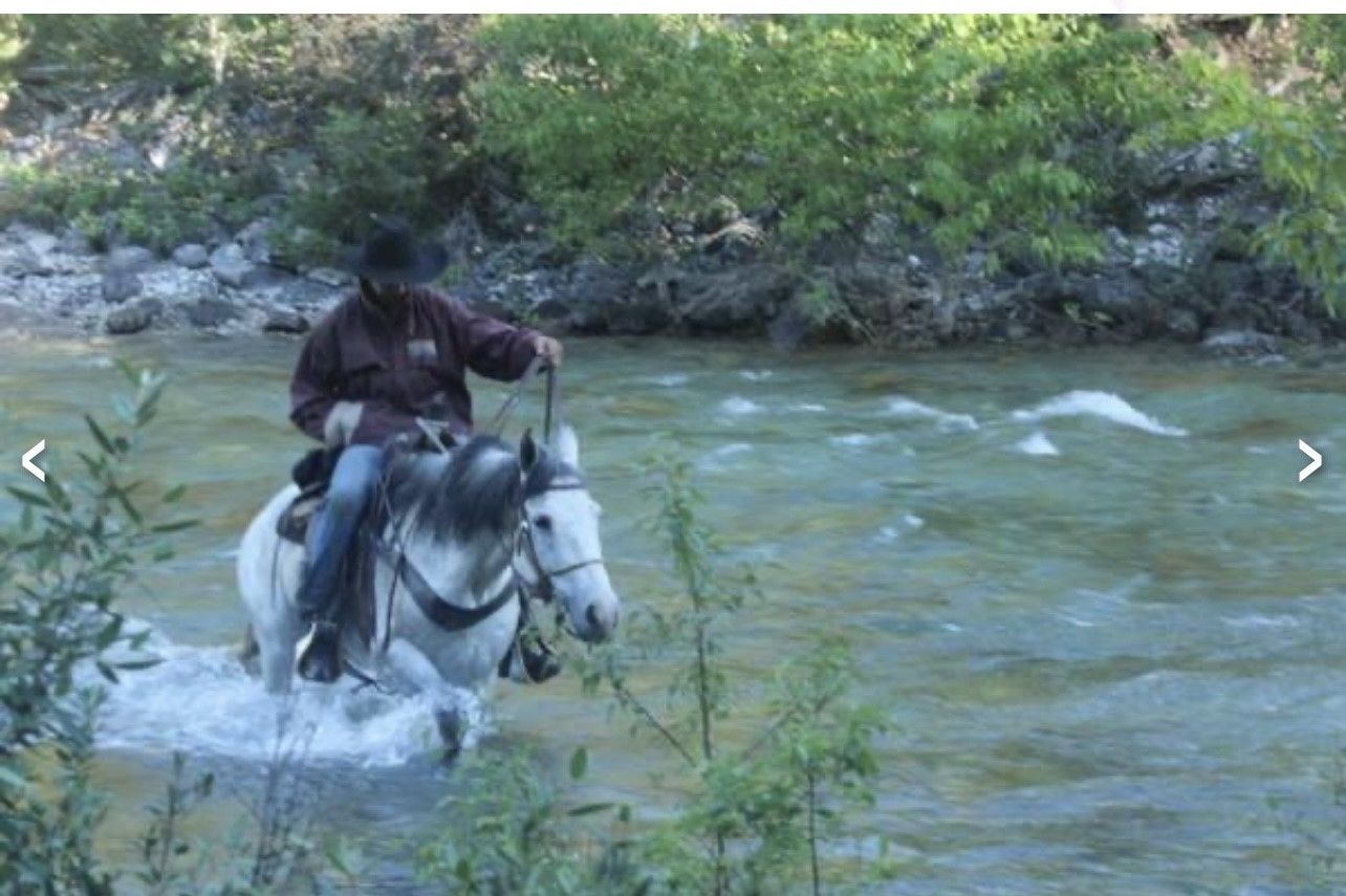 Old Ford Car Named After A Horse