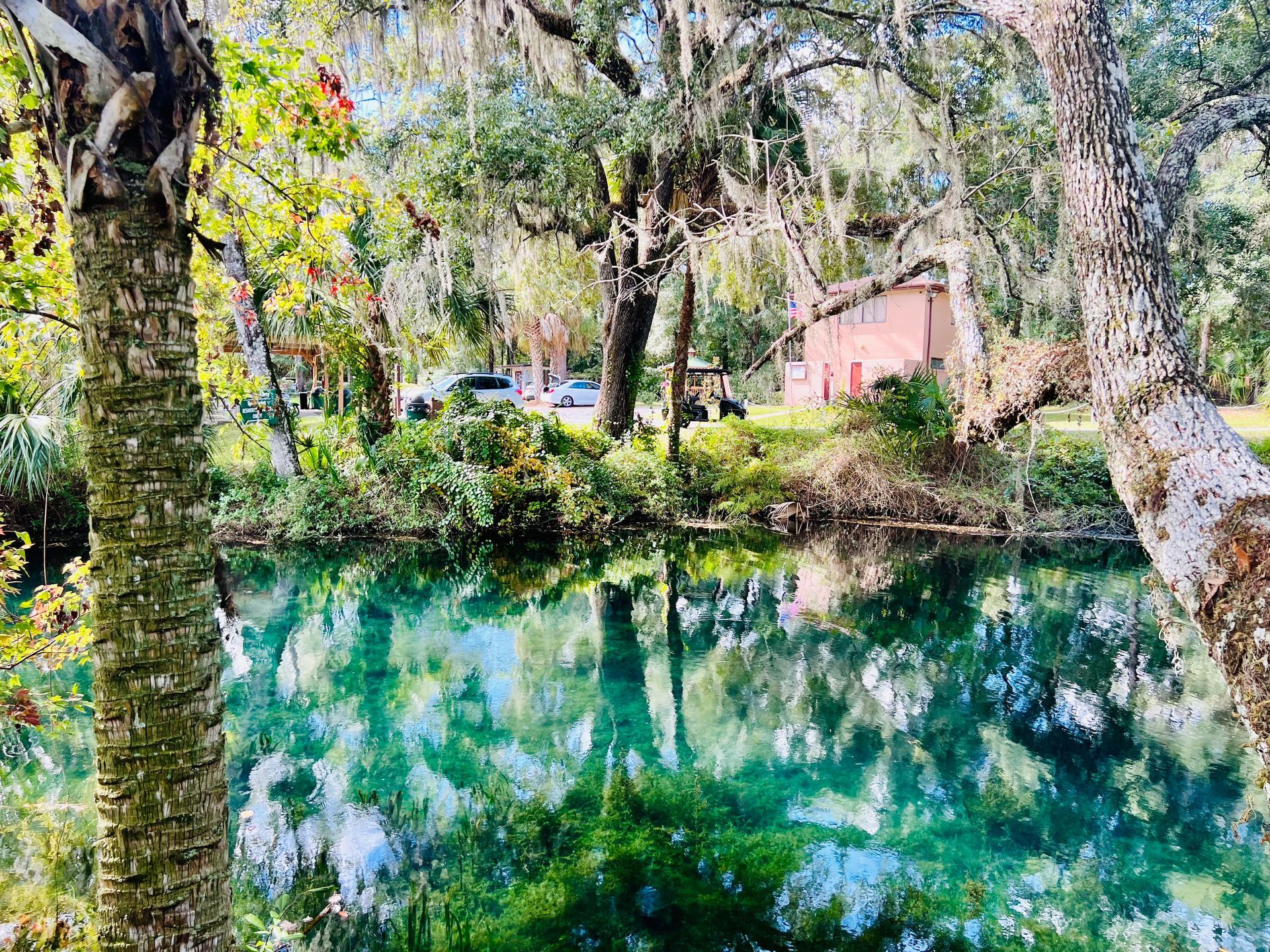 A Large Body Of Water Surrounded By Trees And A House - Circle Dunnellon, FL - Rainbow Springs Realty Group