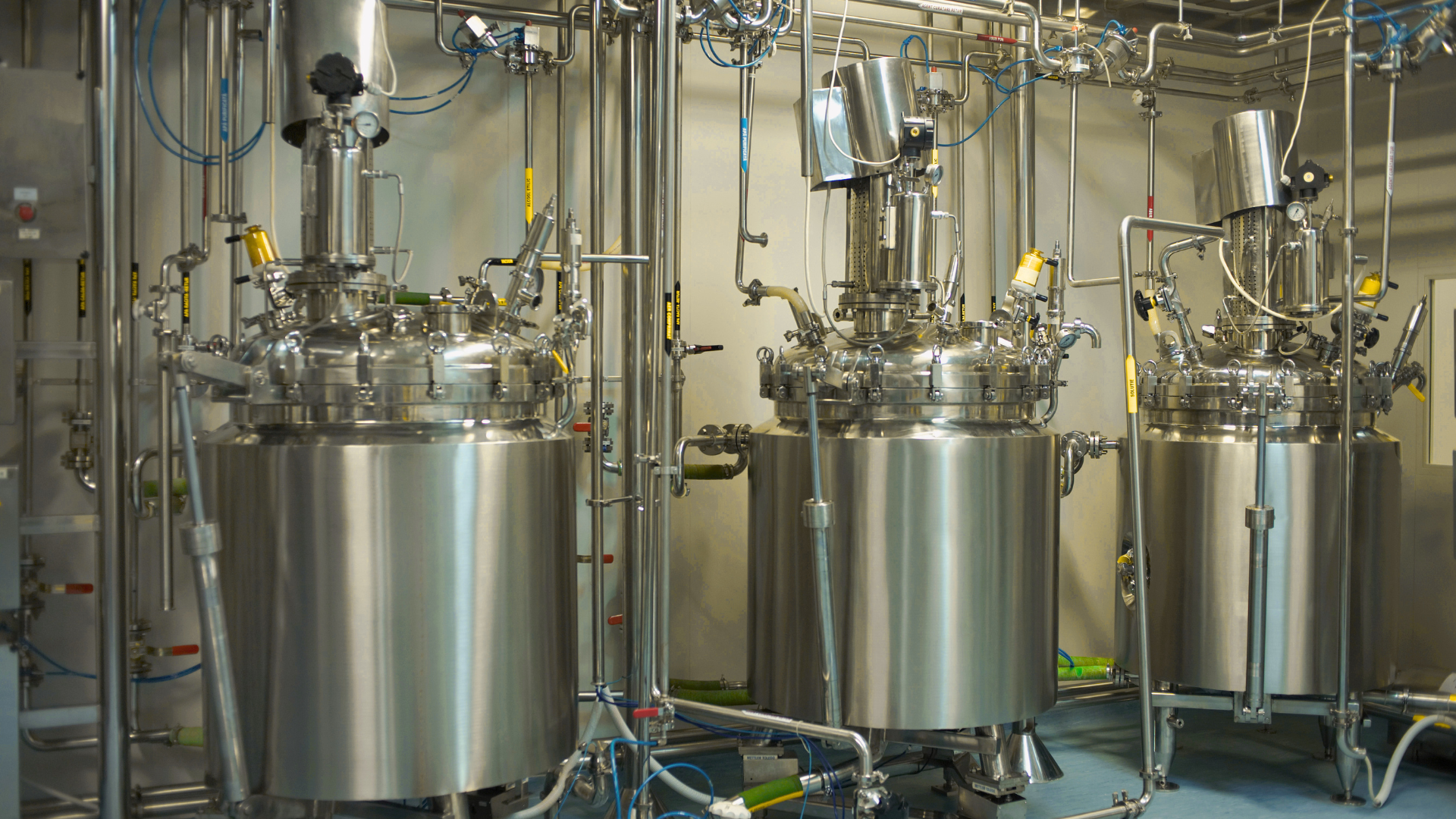 Stainless steel fermentation tanks in an industrial facility with pipes and gauges.