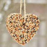 heart shaped bird feed