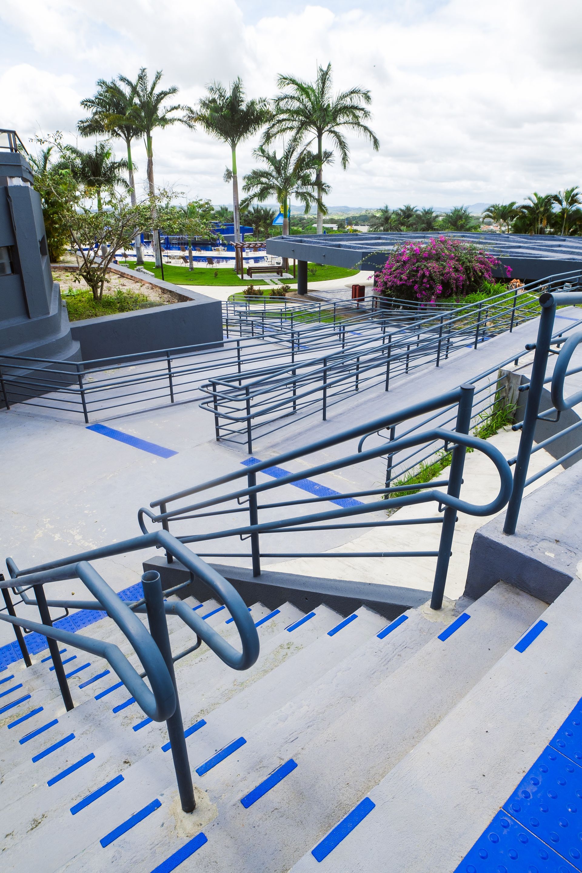 Um conjunto de escadas com corrimão azul e palmeiras ao fundo