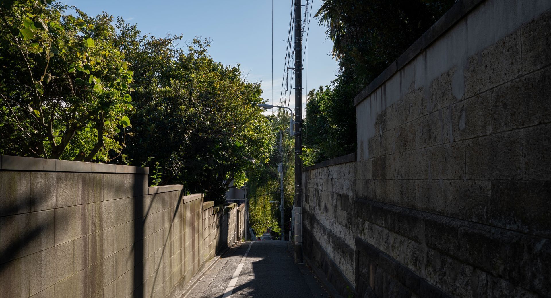 Una calle estrecha con un muro de hormigón y árboles a ambos lados.