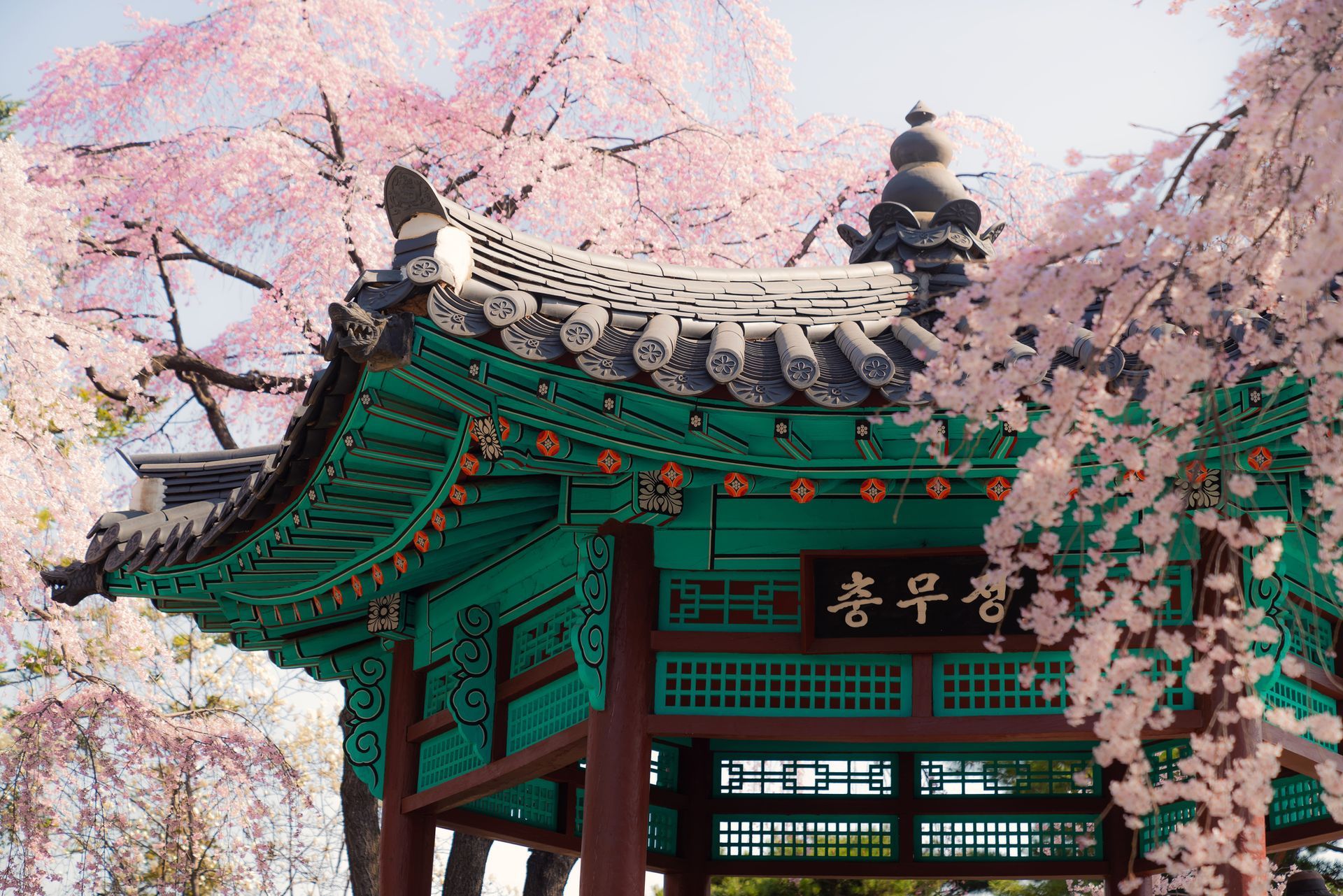 Tour guidati in Corea del Sud