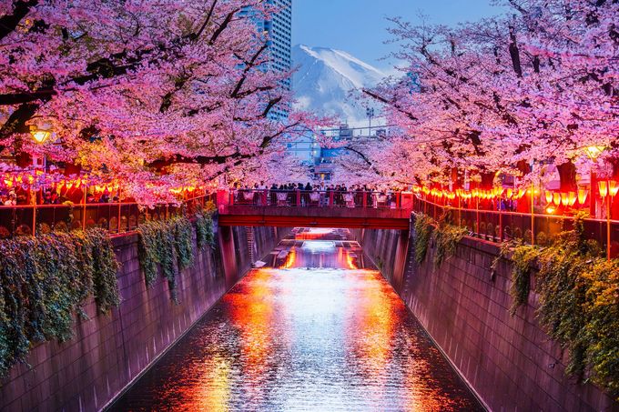 quando visitare il Giappone