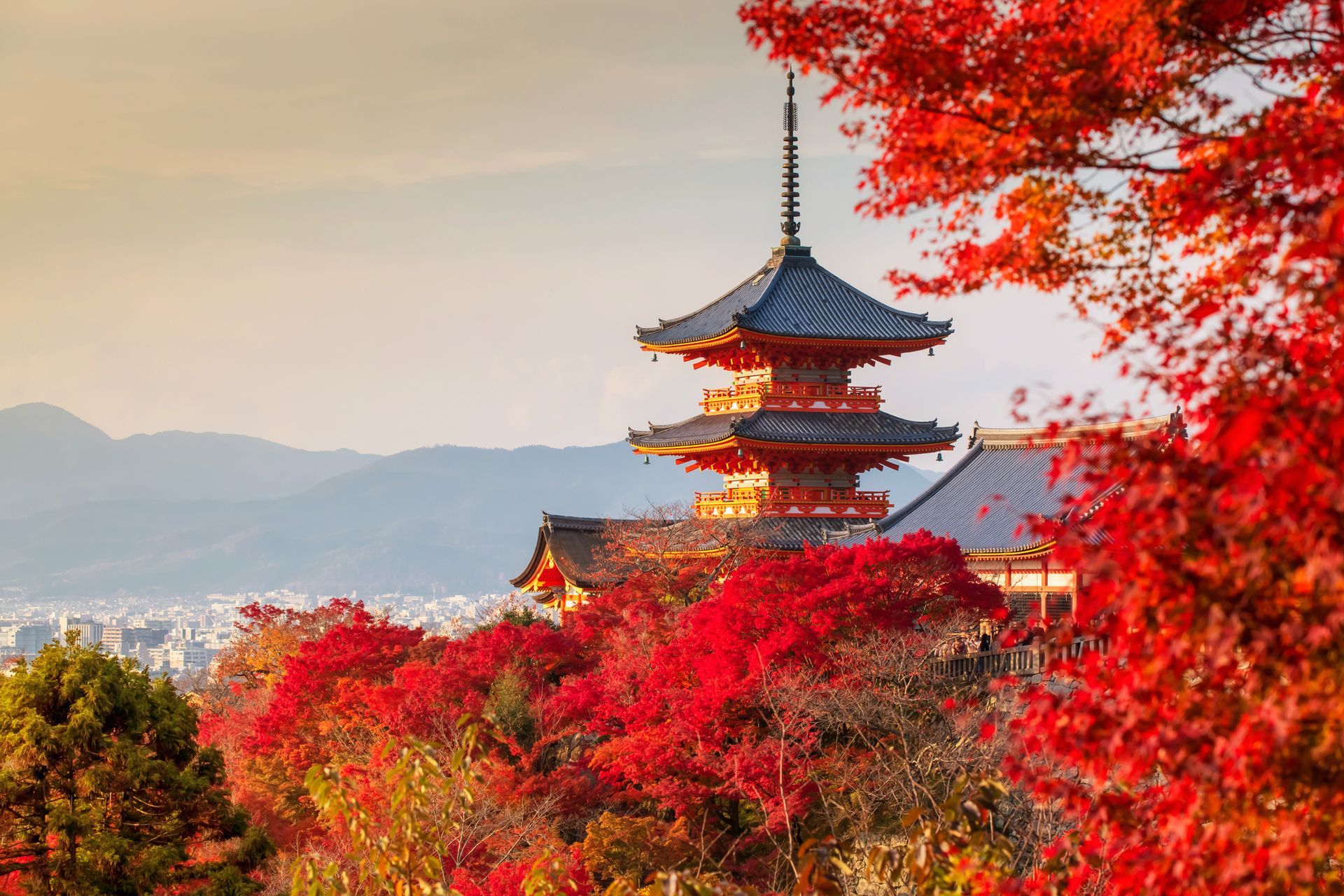 Yugen tour viaggi prestige