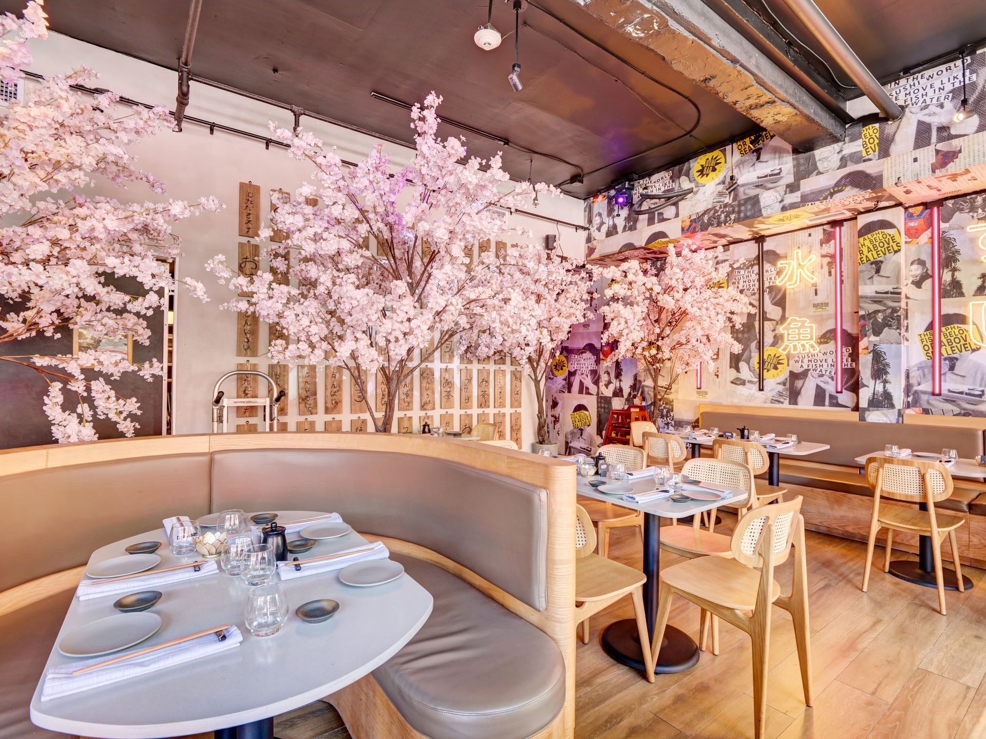 A restaurant with tables and chairs and cherry blossom trees in the background.