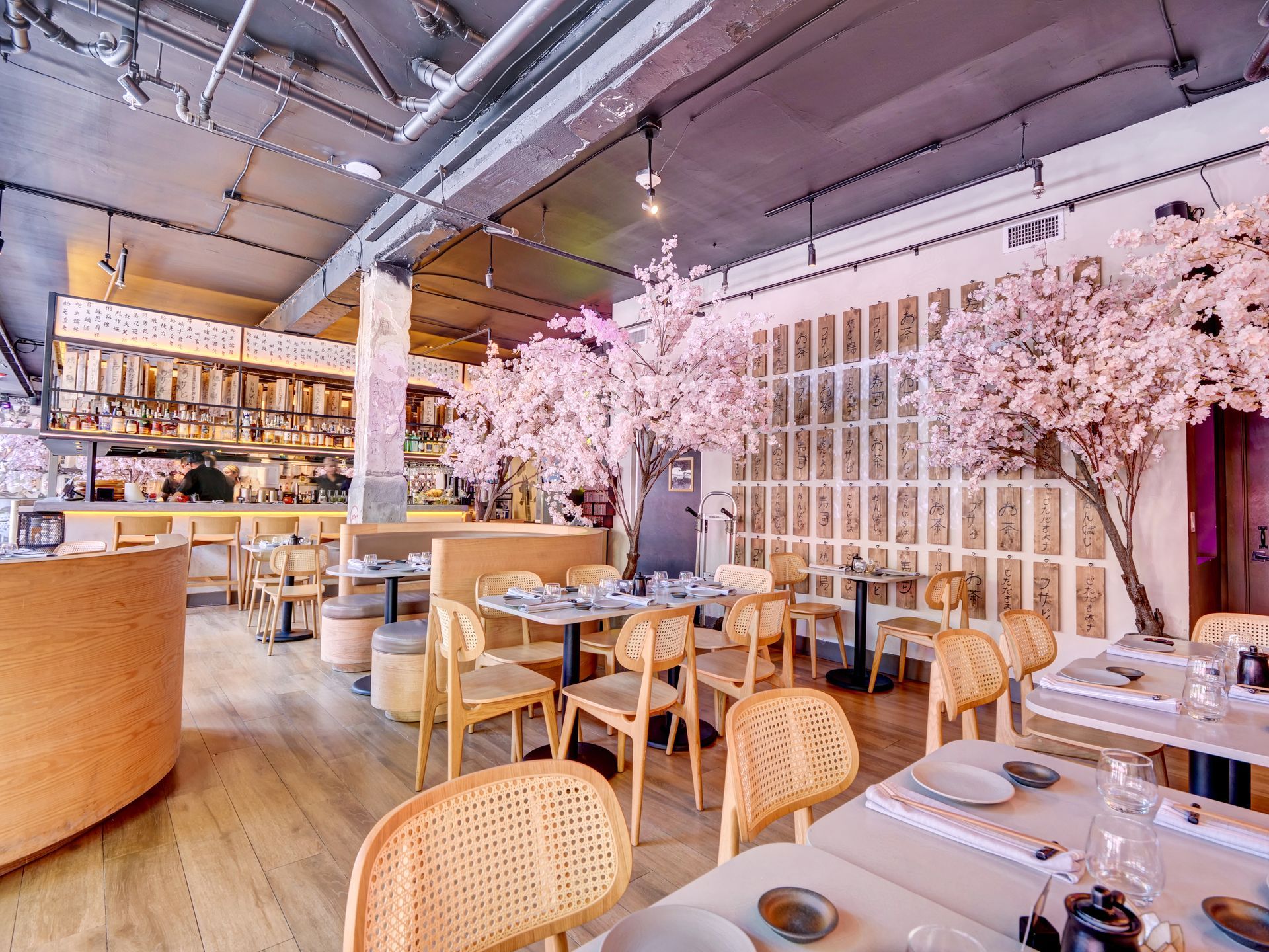 A restaurant with tables and chairs and cherry blossom trees in the background.