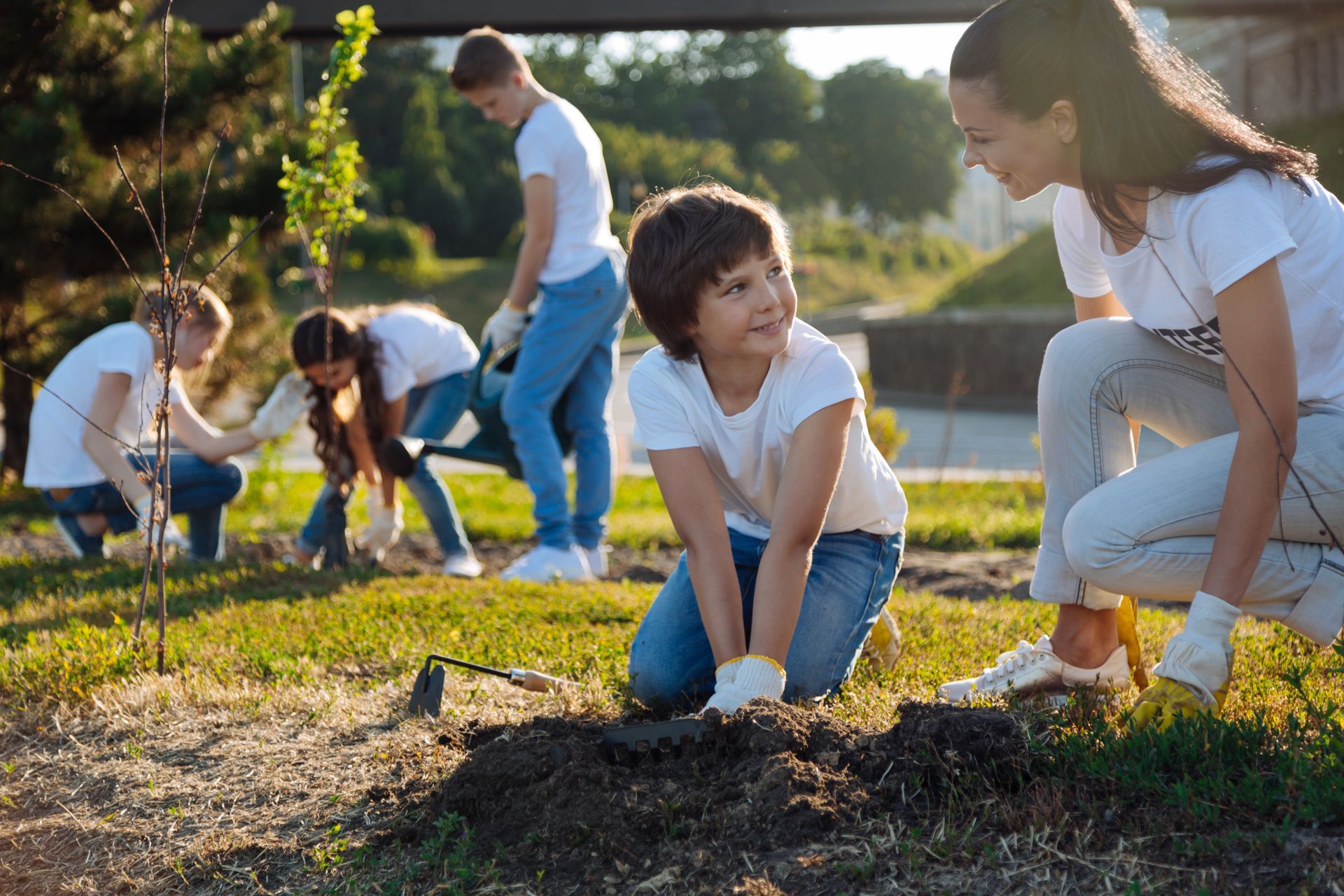 People planting a tree in a sunny park; volunteers in white shirts and jeans.