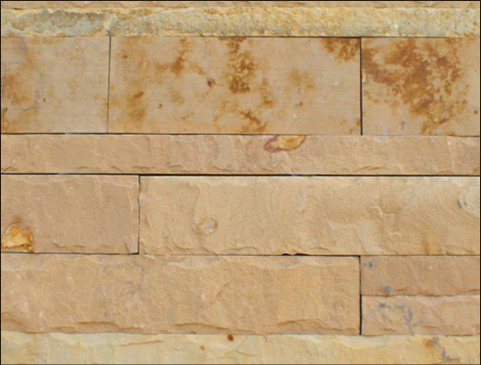 SS5. Savannah in Mitchell, IN