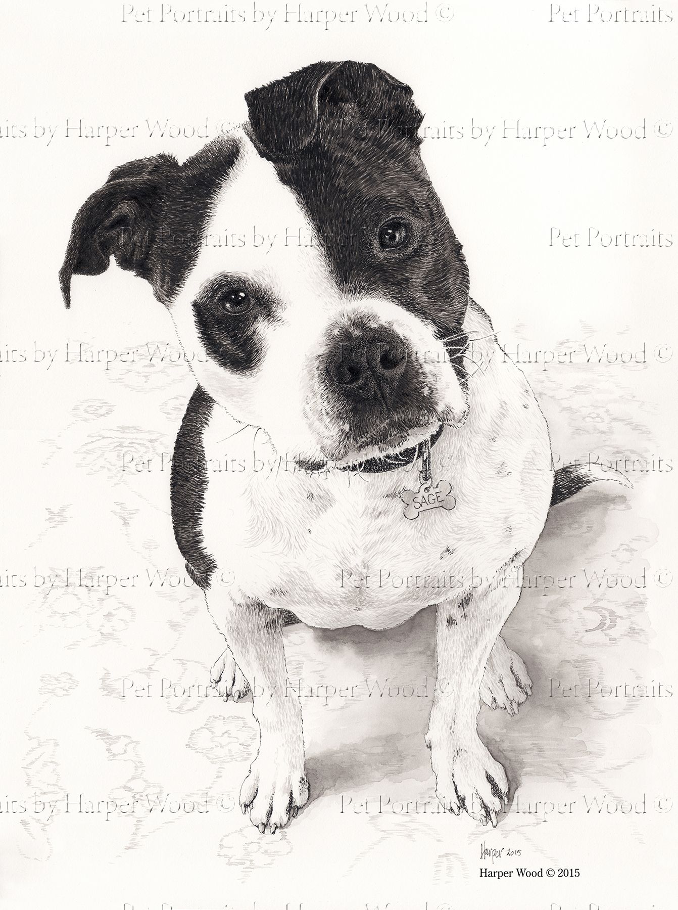 a black and white drawing of a dog sitting on the floor looking at you  by Harper Wood