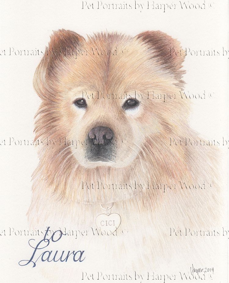 A painting of a chow chow dog named laura by Harper Wood