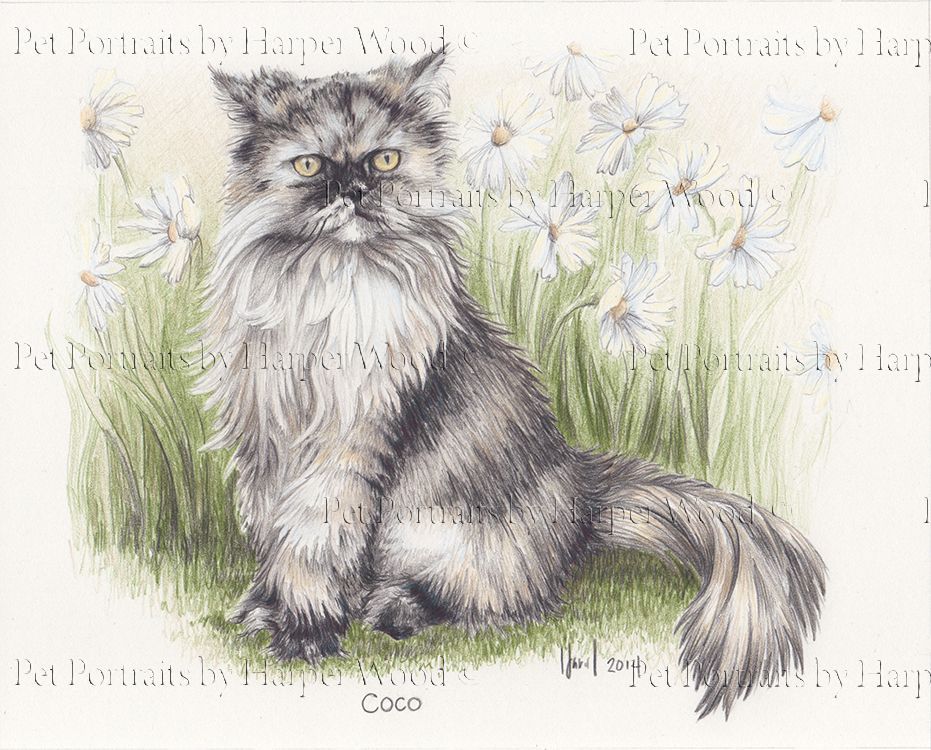 a painting of a fluffy cat sitting in a field of daisies by Harper Wood
