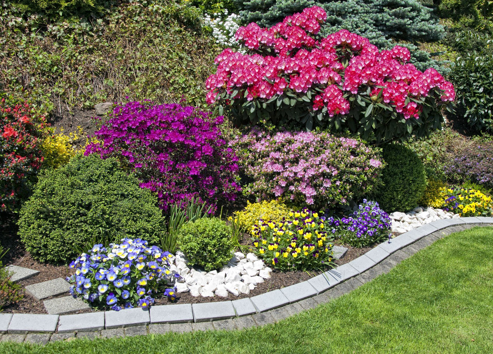 There are many different types of flowers in the garden.