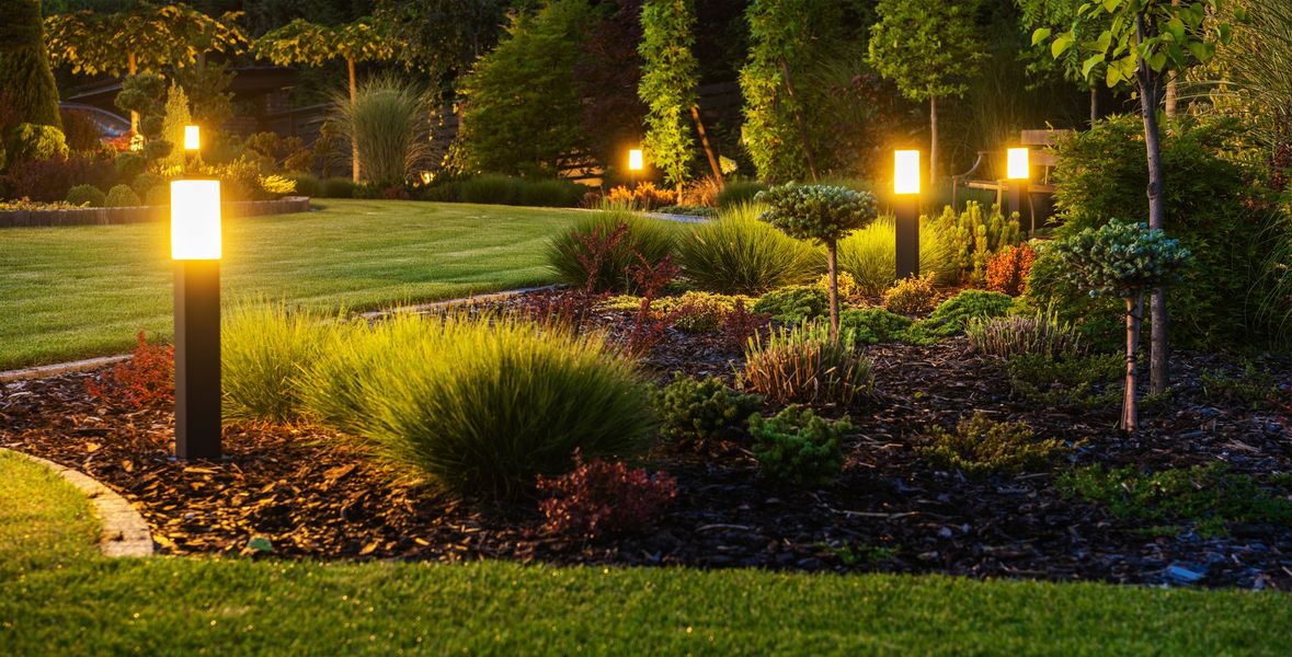 A garden with a lot of lights in it at night.