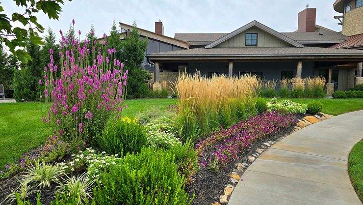 A house with a lot of flowers in front of it
