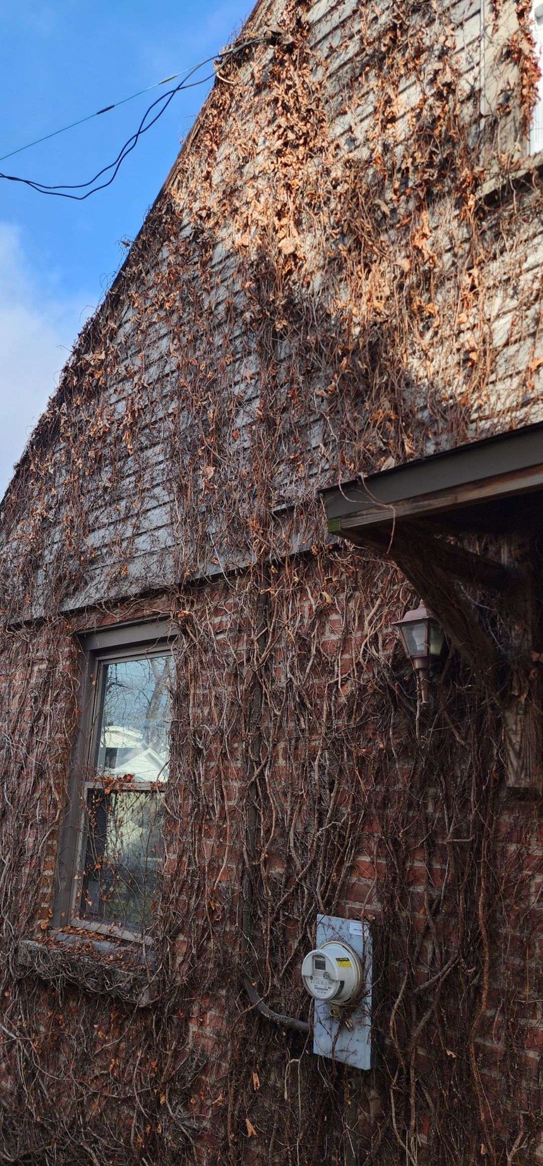 A brick building with ivy growing on it and a window - Porch — Chicago, IL — Mike's Construction Inc.