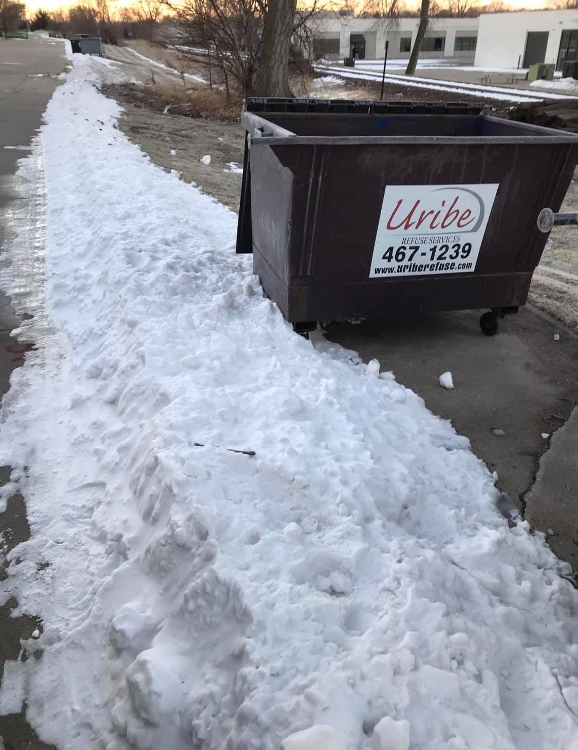 A dumpster is sitting in the snow on the side of the road.