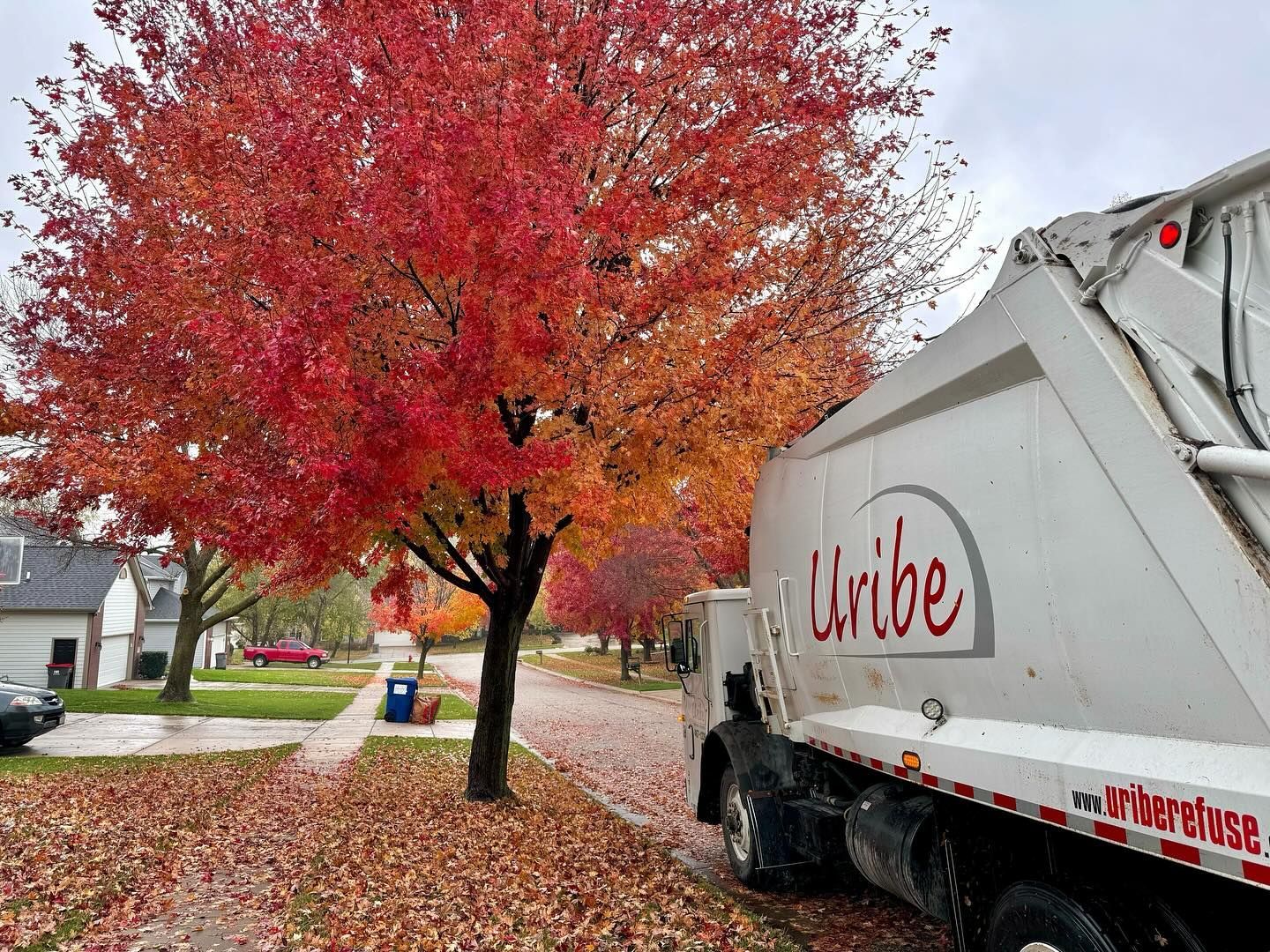 A garbage truck is parked in front of a tree with red leaves.