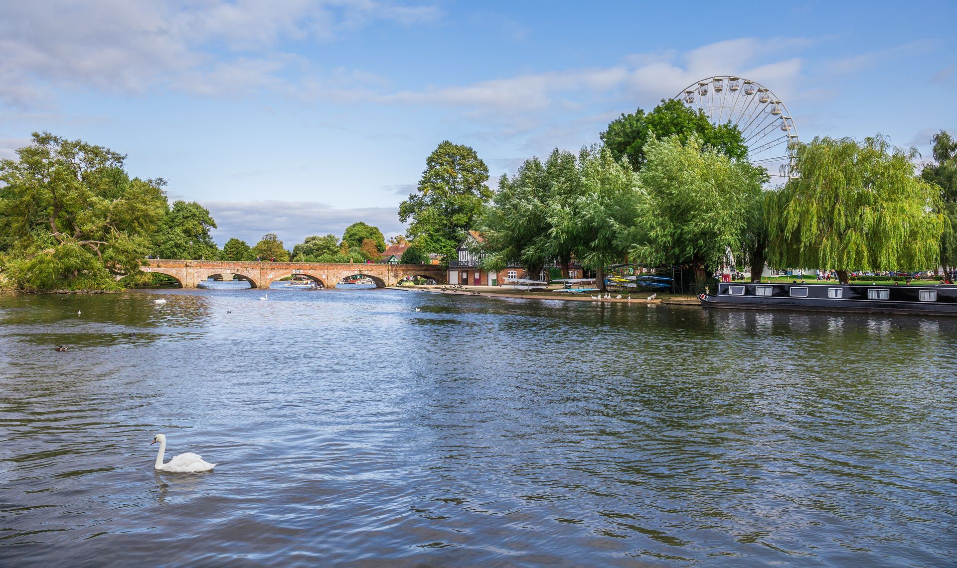 River Avon scene with bridge, trees, and Ferris wheel in Stratford-upon-Avon. Swan swims in the foreground.
