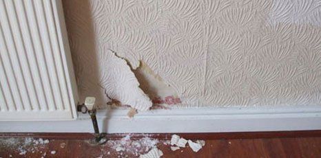 peeling wall plastering