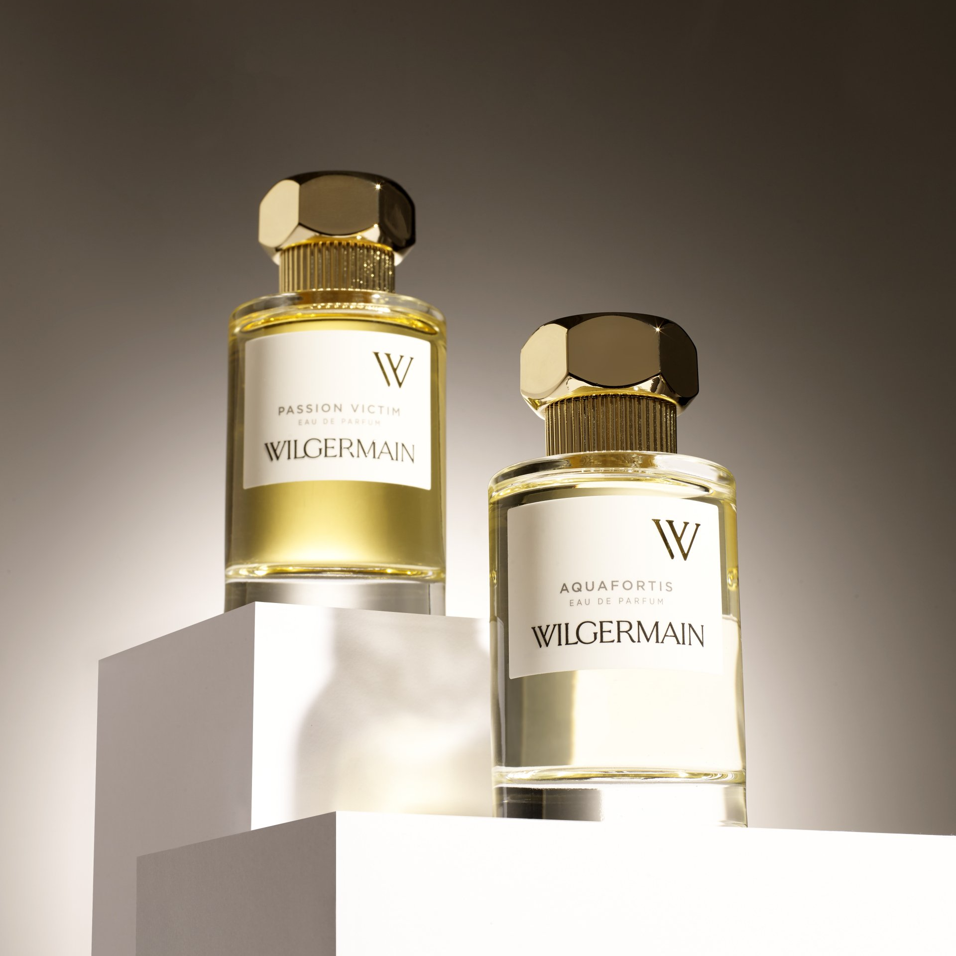 WILGERMAIN - AAFKES │ distribution of exclusive perfumes