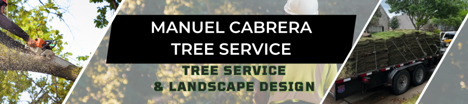 McKinney tree service