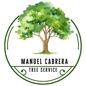 McKinney tree trimming and pruning services