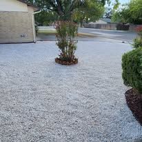 A gravel-covered yard with a small tree and a house in the background.