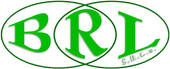 LOGO BRL INFISSI