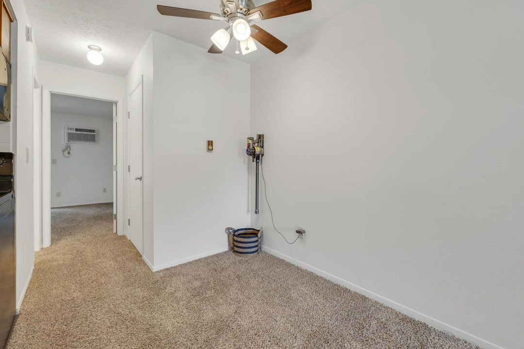 The Genevieve photo gallery