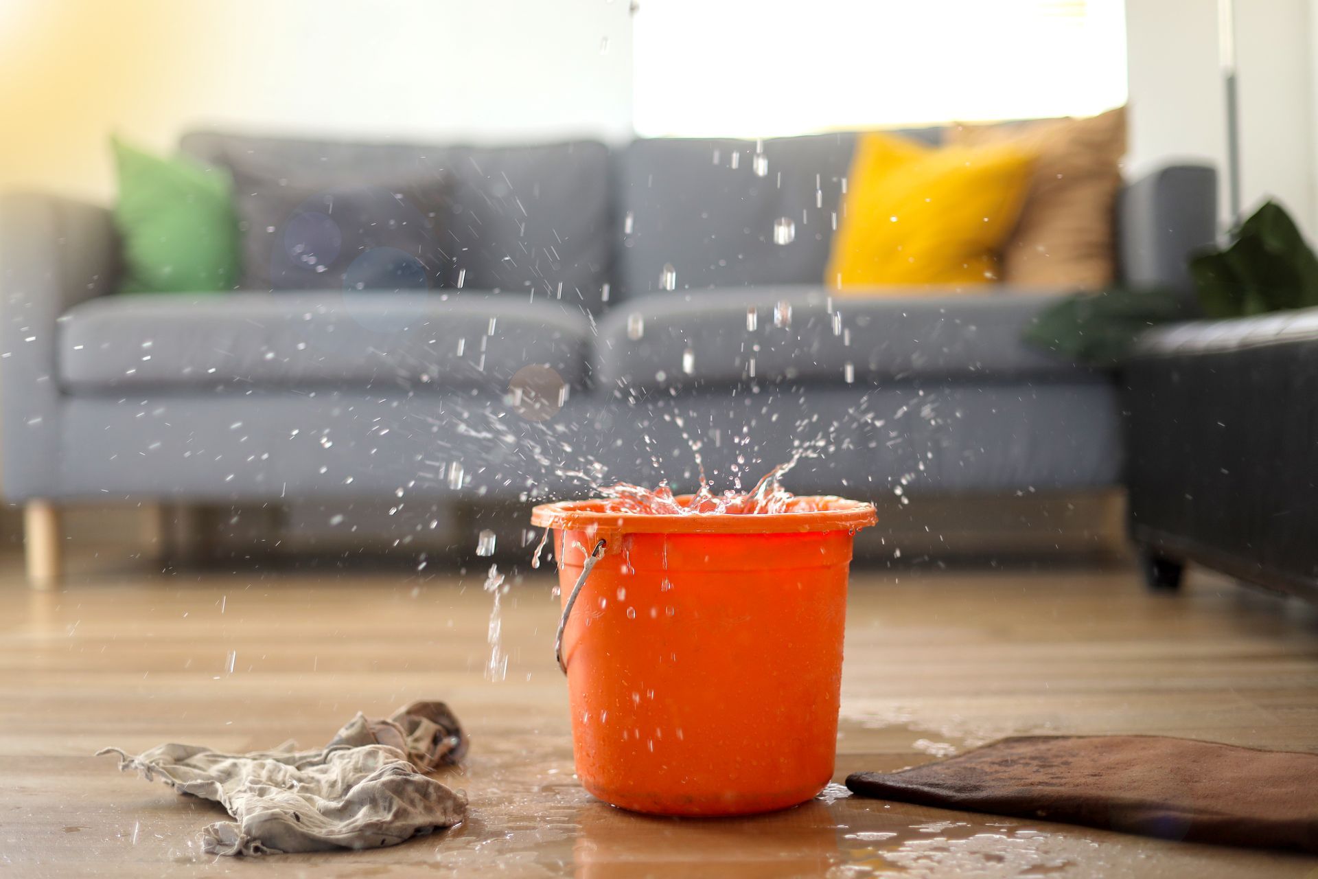 The Basics of Water Damage Restoration in Brevard County
