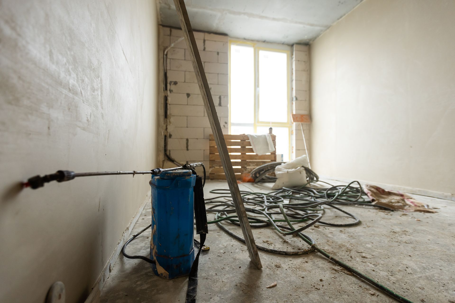 Mold Removal and Remediation
