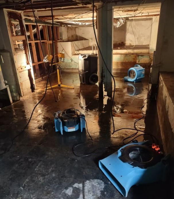 Basement with standing water, containing several blue air movers and exposed wall studs, possibly flooded.