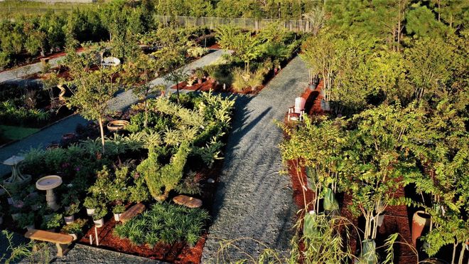 Landscape Design — Young Gardener in Leland, NC