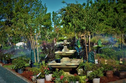 Landscaping Services — Plants in Leland, NC